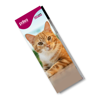A vertical monthly calendar page featuring a photograph of an orange tabby cat at the top and a lined daily log labeled January with pink numbers and a small pdsa logo at the bottom.