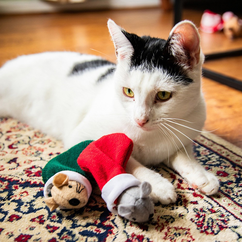 Black and white cat playing with two Catnip mice in stockings cat toys. One is grey in a red stocking and the other is brown in a green stocking. Pictured in a living room setting on a patterned rug. 