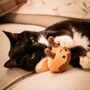 Black and white cat lying on a cream sofa playing with two fabric Cinnamon buns cat toys with stitched face details facing forward; one is topped with dark brown fabric and the other is topped with white fabric. 