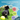 Dog playing with a ball in grass, with text about solving behavior benefits and Coachi logo.