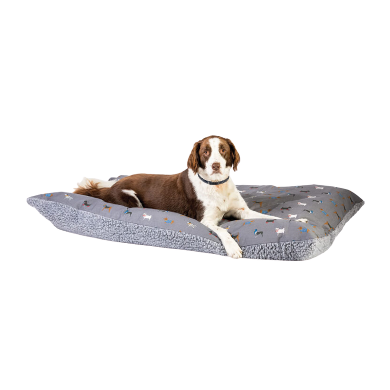 Brown and white Collie Cross lying on a pillow-type grey dog bed with illustrated dogs and a grey fleece underside pictured on a white background. 