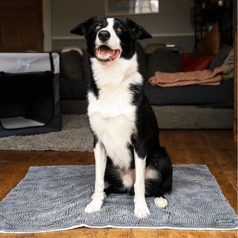 Black and white collie dog sitting on a grey Henry Wag microfibre noodle pet mat in a living room setting. 