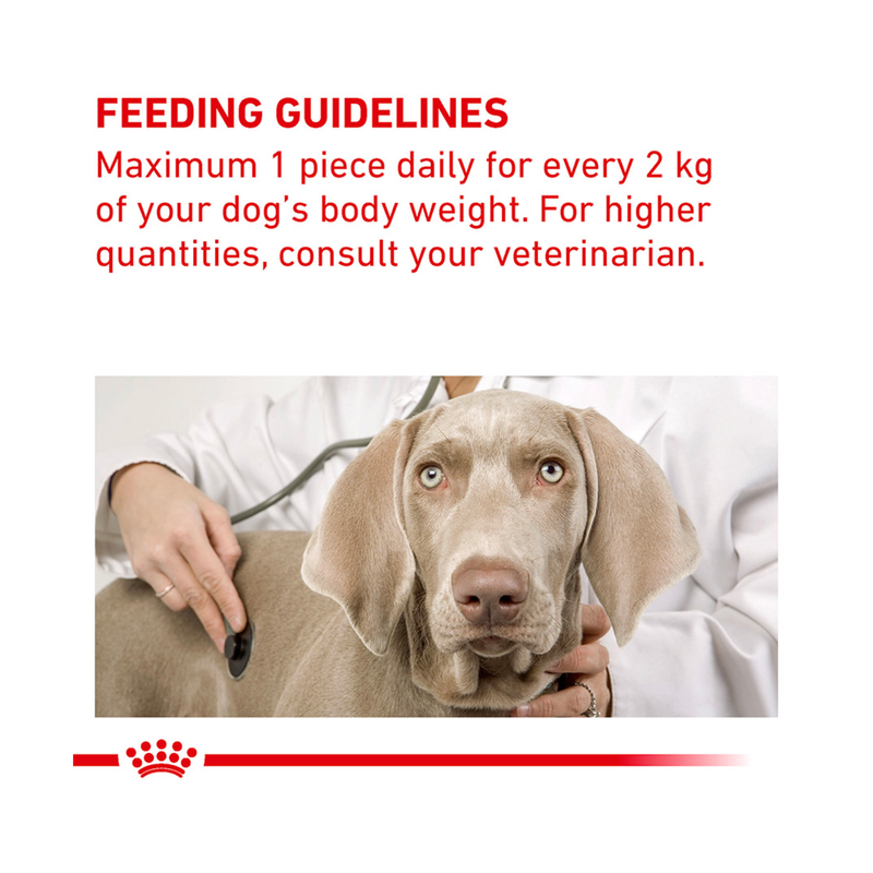 A Weimaraner dog is pictured on a vet table with a vet examining the dog. Above is red text on a white background 'Feeding Guidelines - Maximum 1 piece daily for every 2kg of your dog's body weight. For higher quantities, consult your veterinarian'. 
