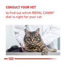 A tabby cat is pictured on a vet table with a vet examining the cat. Above is red text on a white background 'Consult your vet to find out which Royal Canin diet is right for your cat'. 