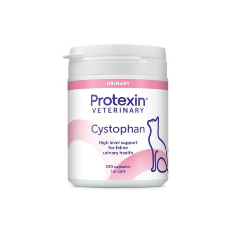 White background with a bottle of Protexin Cystophan 240 capsules picutred. On the bottle is an outline of a cat and text on the bottle reads 'High level support for feline urinary health, 240 capsules for cats'.