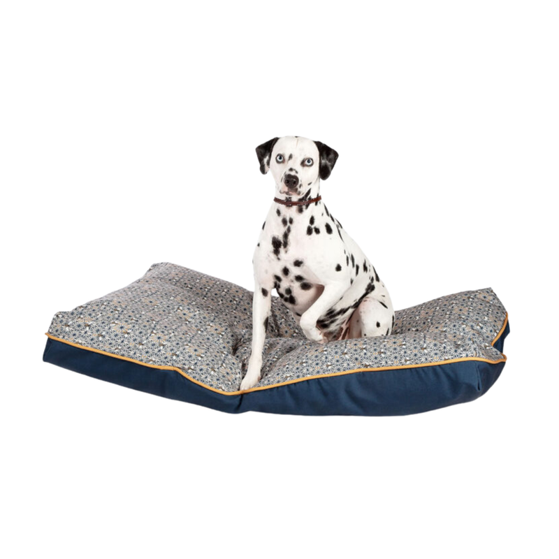 Adult Dalmatian dog sat on a pillow-type blue and yellow geometric patterned bed with a bee details and a blue underside pictured on a white background. 