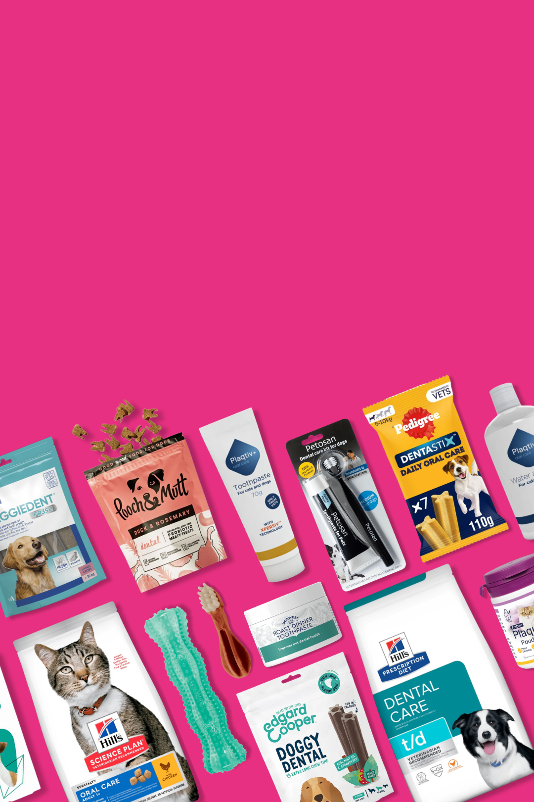 PDSA Pet Store