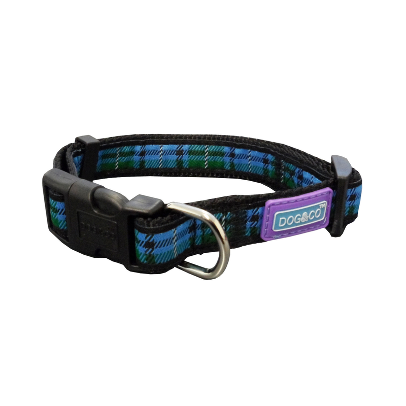 White background with a blue tartan dog collar with a black plastic clip with a purple tag with 'Dog & Co' on it. 