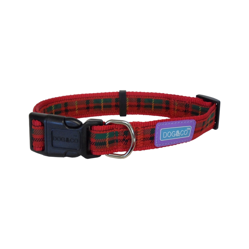 White background with a red tartan dog collar with a black plastic clip with a purple tag with 'Dog & Co' on it. 