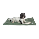 Springer Spaniel lying on a thin pillow-type green waterproof dog bed pictured. 