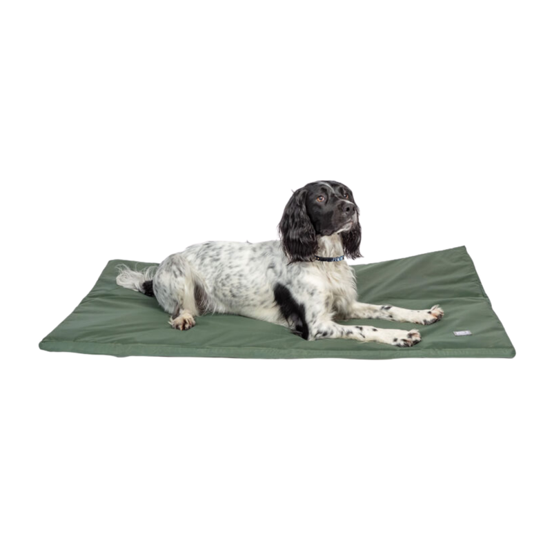 Springer Spaniel lying on a thin pillow-type green waterproof dog bed pictured. 