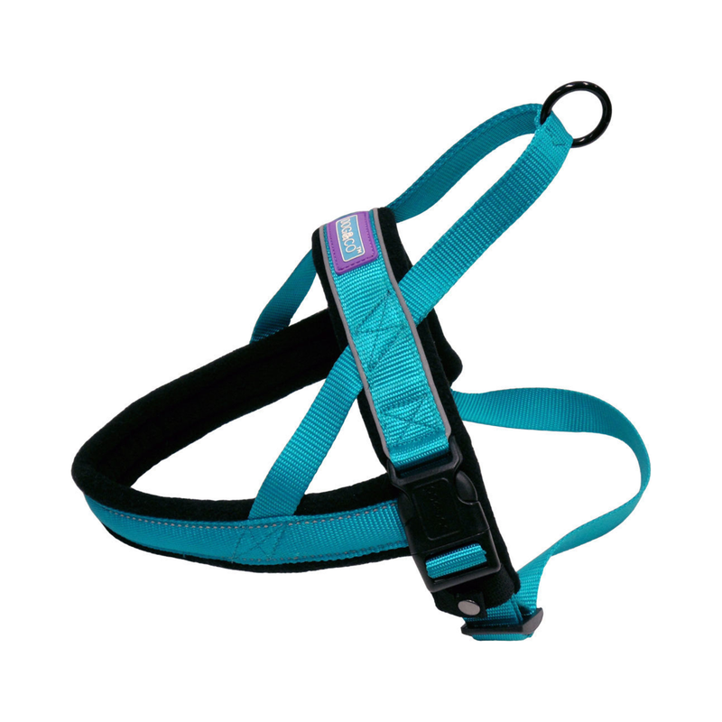 White background with a Dog and Co Padded Reflective Nylon Harness in aqua blue and black with reflective edging and stitching. With a purple tab with 'Dog & Co.' written on it. 