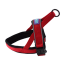 White background with a Dog and Co Padded Reflective Nylon Harness in red and black with reflective edging and stitching. With a purple tab with 'Dog & Co.' written on it. 