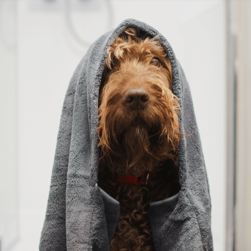 Brown long haired dog wrapped in a grey Henry Wag Pet Glove Towel in a bathroom setting. 