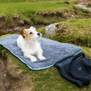 Wire-haired Jack Russell dog lying on a  grey Henry Wag easy-roll travel pet bed  with its black bag attached, pictured outside on grass. 