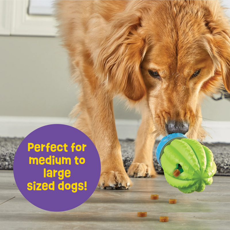 Golden retriever dog playing with Cactus shape treat dispenser with a green top with hole in the top and a blue pot base. Purple circle with yellow text 'Perfect for large sized dogs!' in bottom left corner. 