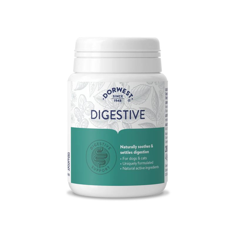 White background with a white and green tub of Dorwest Digestive tablets. On the pack is a green banner with white text 'Naturally soothes & settles digestion, for Dogs & Cats, Uniquely formulated, Natural active ingredients'.