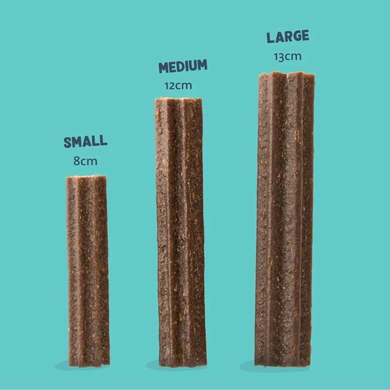 A teal background with three Edgard and Cooper Dental Sticks pictures. Each has the size above it, 'Small 8cm, Medium 12cm and Large 13cm.'