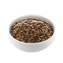 White background with a white bowl of Edgard & Cooper dry adult dog food pictured. 