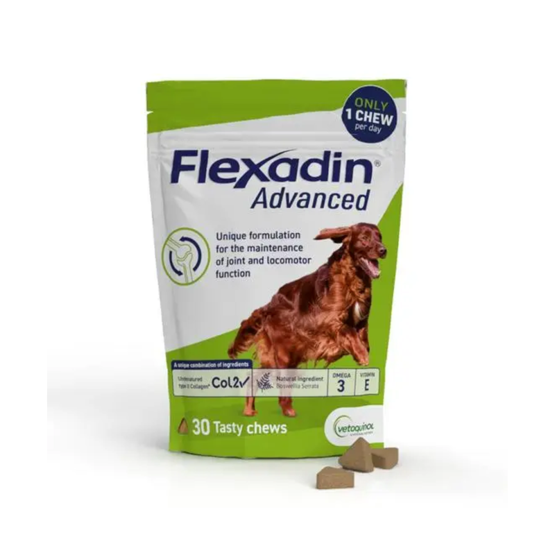 White background with a green and white packet with a Irish red setter dog pictured on the bag. Text on the bags reads 'Flexadin Advanced, Unique formulation for the maintenance of joint and locomotor function.' In the foreground are three triangle shaped treats. 
