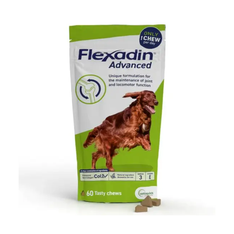White background with a green and white packet with a Irish red setter dog pictured on the bag. Text on the bags reads 'Flexadin Advanced, Unique formulation for the maintenance of joint and locomotor function.' In the foreground are three triangle shaped treats. 