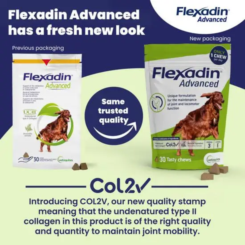 Blue and Green background with two bags of Flexadin Advanced pictured, one in the old style, the other in the new style. Both still have a Irish red setter pictured on the bag. Text reads 'Flexadin Advanced has a fresh new look' and 'Col2 - Introducing COL2V, our new quality stamp meaning that the undenatured type II collagen in this product is of the right quality and quantity to maintain joint mobility.' 