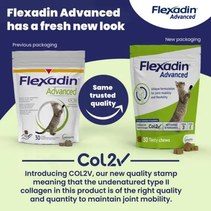 Blue and Green background with two bags of Flexadin Advanced pictured, one in the old style, the other in the new style. Both still have a tabby cat pictured on the bag. Text reads 'Flexadin Advanced has a fresh new look' and 'Col2 - Introducing COL2V, our new quality stamp meaning that the undenatured type II collagen in this product is of the right quality and quantity to maintain joint mobility.' 