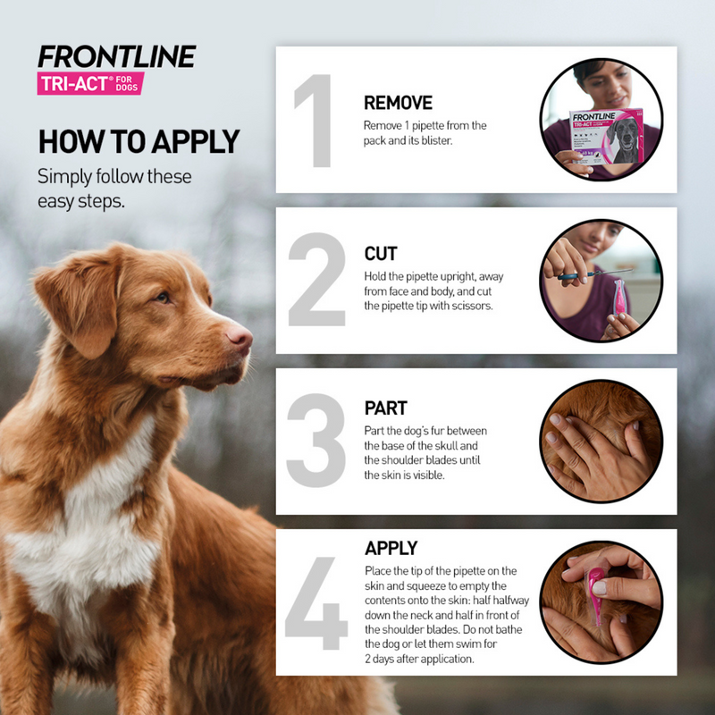 Frontline Tri-Act Spot On Solution For Dogs - How to apply