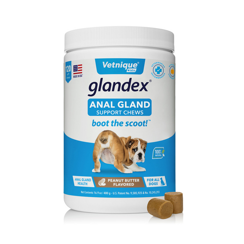 White background with a blue and white tub of Glandex Anal Gland Support Chews. On the tub is a picture of a bull dog with it bottom pointed forwards. Additional text states 'Boot the scoot!' and 'Anal gland health, Peanut Butter Flavoured, for all dogs.' 