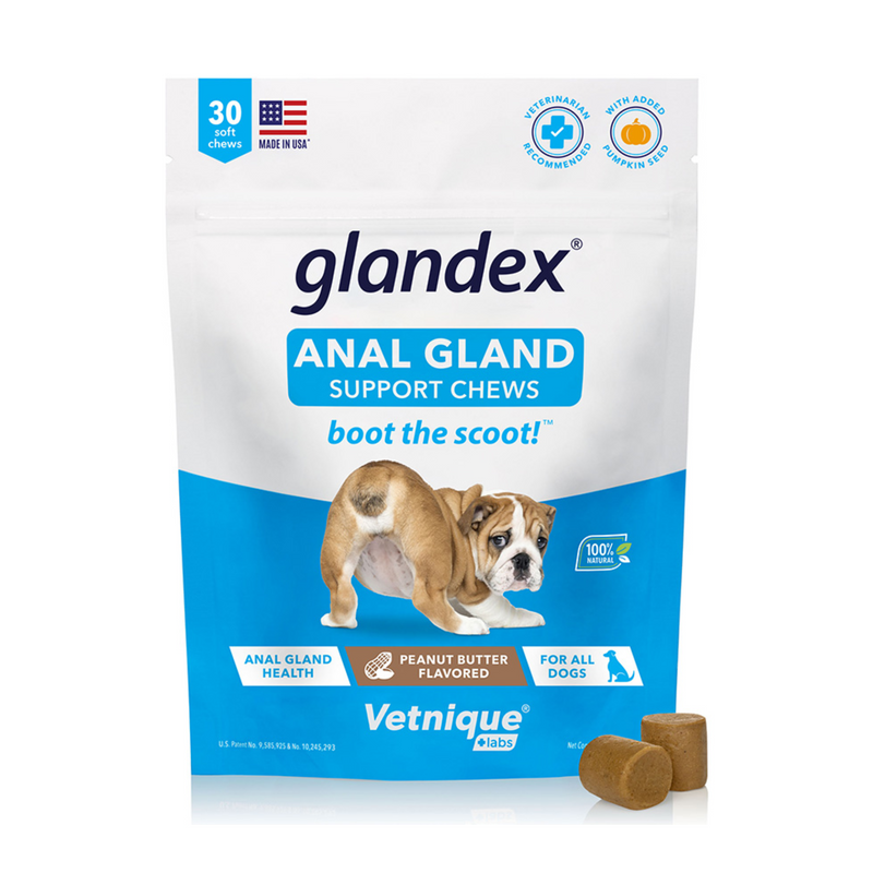 White background with a blue and white packet of Glandex Anal Gland Support Chews. On the pack is a picture of a bull dog with it bottom pointed forwards. Additional text states 'Boot the scoot!' and 'Anal gland health, Peanut Butter Flavoured, for all dogs.' 