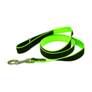 White background with a Rainbow reflective dog collar with a green trim pictured.