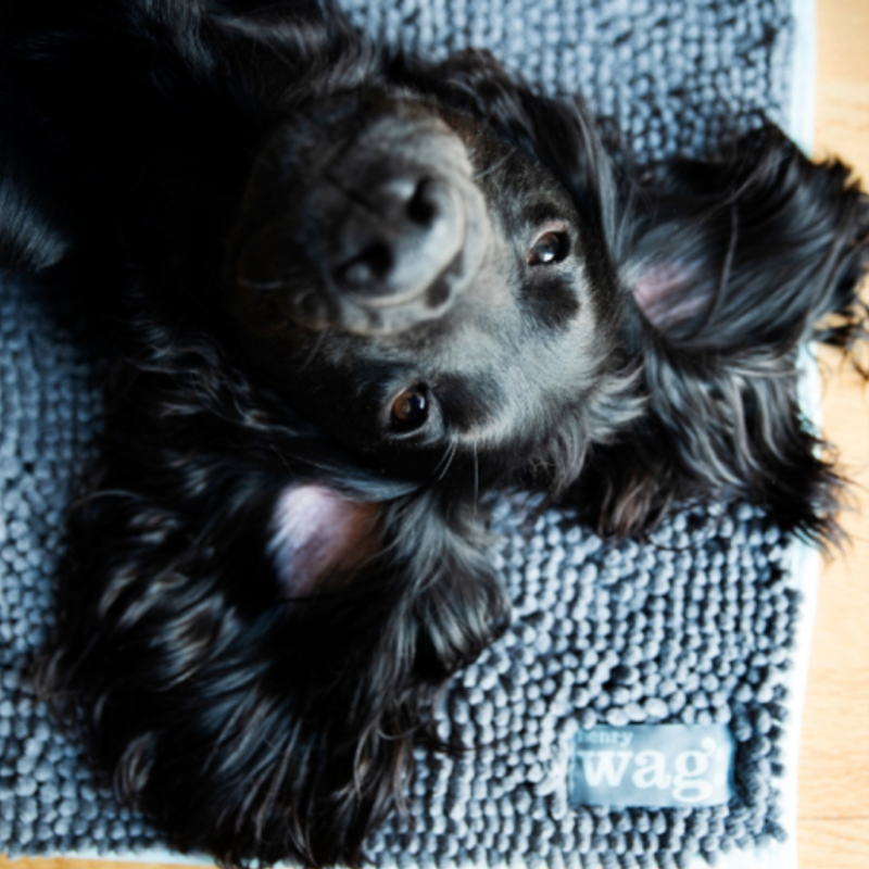 Black Cocker Spaniel lying on a grey Henry Wag microfibre noodle pet mat. 