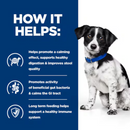 Picture of an small black and white adult dog pictured next to a blue section with white text stating 'How it helps: Helps promote a calming effect, supports healthy digestion & improves stool quality, Promotes activity of beneficial gut bacteria & calms the GI tract, Long term feeding helps support a healthy immune system.' 