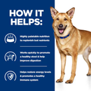 Picture of an German Shepherd mix adult dog pictured next to a blue section with white text stating 'How it helps: Highly palatable nutrition to replenish lost nutrients, Works quickly to promote a healthy stool & help improve digestion, Helps restore energy levels & promotes a healthy immune system.'