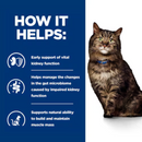 Picture of a long haired adult brown tabby cat pictured next to a blue section with white text stating 'How it helps: Early support of vital kidney function, Helps manage the changes in the gut microbiome caused by impaired kidney function, Supports natural ability to build and maintain muscle mass.'