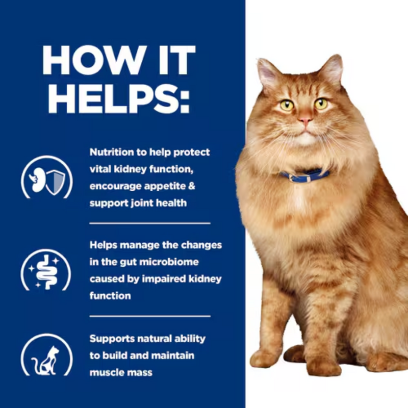 Picture of a long haired adult ginger tabby cat pictured next to a blue section with white text stating 'How it helps: Nutrition to help protect vital kidney function, encourage appetite & support joint health, Helps manage the changes in the gut microbiome caused by impaired kidney function, Supports natural ability to build and maintain muscle mass.'
