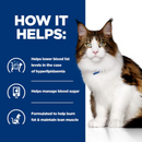 Picture of an adult brown tabby and white cat pictured next to a blue section with white text stating 'How it helps: Helps lower blood fat levels in the case of hyperlipidaemia, Helps manage blood sugar, Formulated to help burn fat & maintain lean muscle.' 