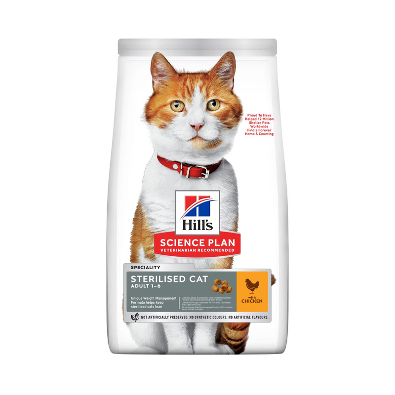 Hills Science Plan cat dry food packaged in a white bag with an adult ginger and white cat pictured on the bag. Text on bag say 'Hill's Science Plan, veterinarian recommended' and 'Speciality Sterilised Cat, Adult 1-6 years' with a chicken pictured with text 'with Chicken' beneath on white background. 