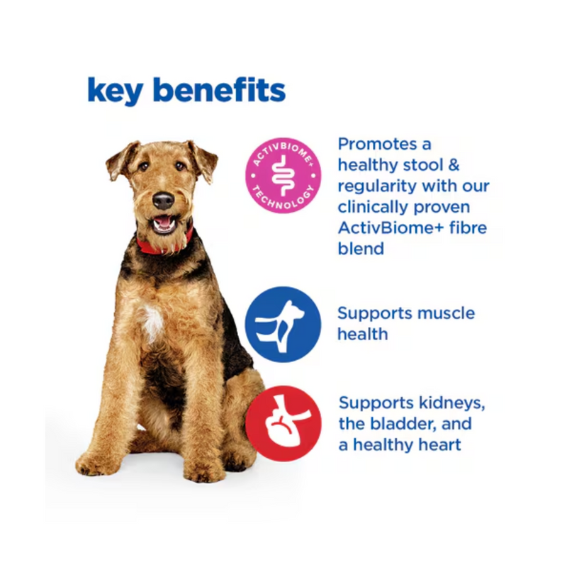 Picture of a small adult brown and white dog pictured next to a section with blue text stating 'Key Benefits, Promotes a healthy stool & regularity with our clinically proven ActivBiome+ fibre blend, Supports muscle health, Supports kidneys, the bladder, and a healthy heart'. 