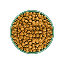 White background with a green bowl pictured filled with dog food kibbles. 