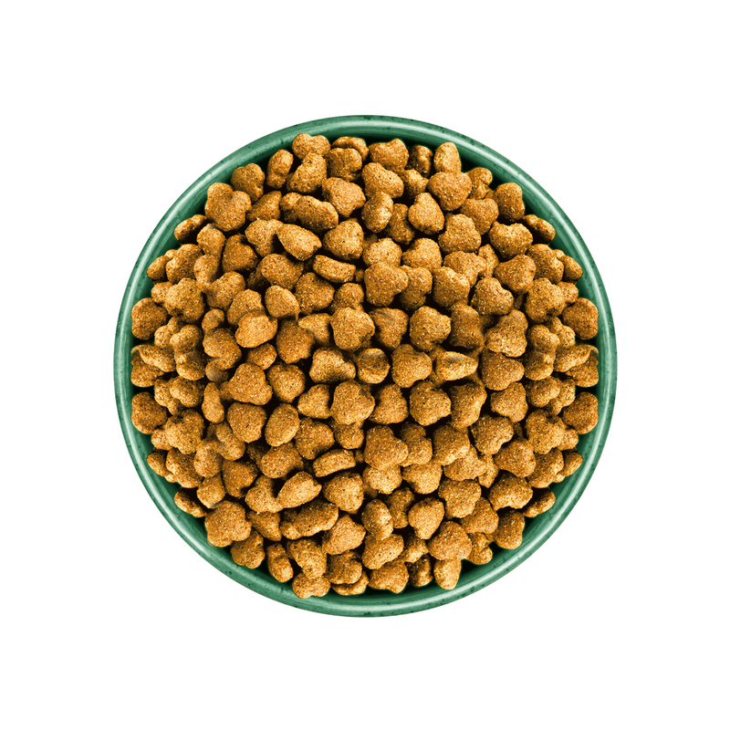 White background with a green bowl pictured filled with dog food kibbles. 