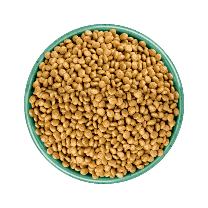 White background with a green bowl pictured filled with cat food kibbles. 