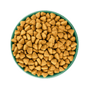 White background with a green bowl pictured filled with dog food kibbles. 