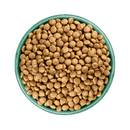 White background with a green bowl pictured filled with dog food kibbles. 