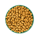 White background with a green bowl pictured filled with dog food kibbles. 