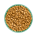 White background with a green bowl pictured filled with dog food kibbles. 