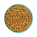 White background with a green bowl pictured filled with cat food kibbles. 