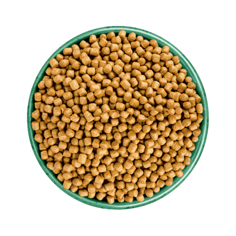 White background with a green bowl pictured filled with cat food kibbles. 