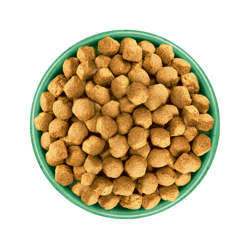 White background with a green bowl pictured filled with dog food kibbles. 