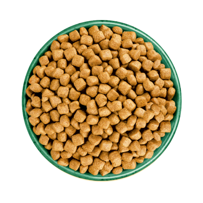 White background with a green bowl pictured filled with cat food kibbles. 